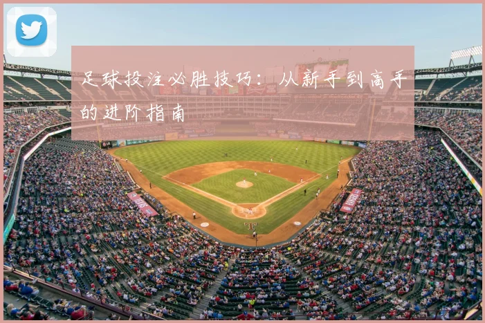 足球投注必胜技巧：从新手到高手的进阶指南