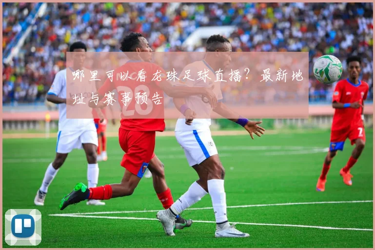 哪里可以看龙珠足球直播？最新地址与赛事预告