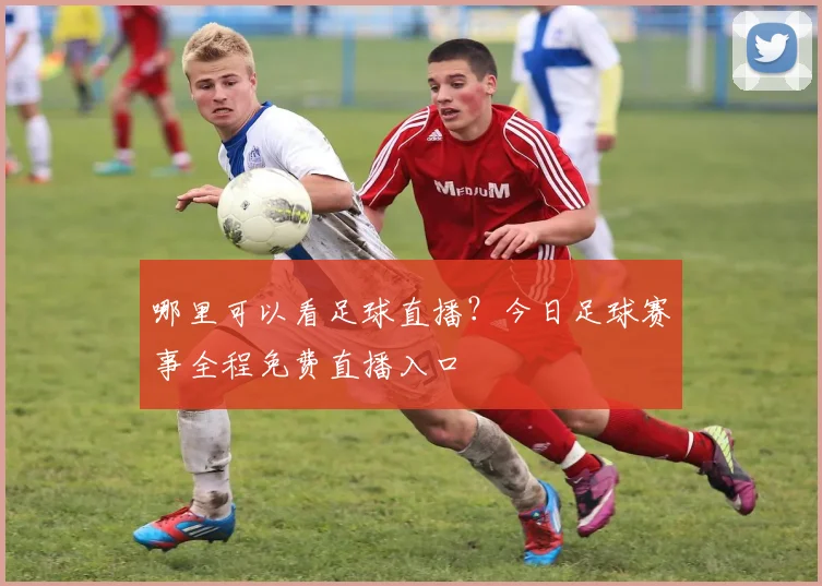 哪里可以看足球直播？今日足球赛事全程免费直播入口