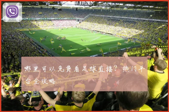 哪里可以免费看足球直播？热门平台全攻略